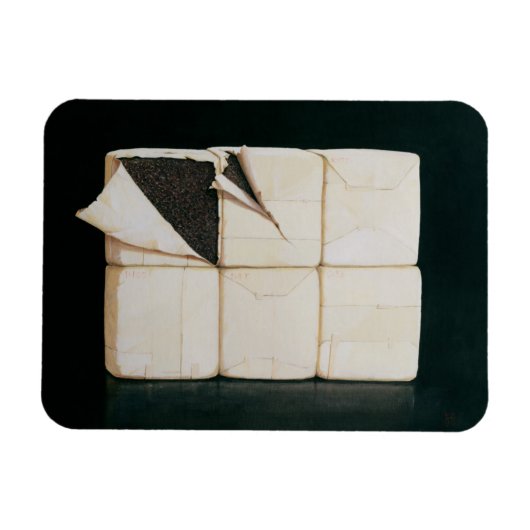 Zes gestapelde pakketten magneet (Horizontaal)