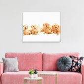 Zes Golden Retriever Puppies Canvas Afdruk (Insitu (Woonkamer))