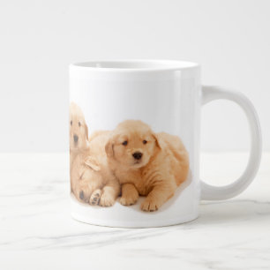 Zes Golden Retriever Puppies Grote Koffiekop