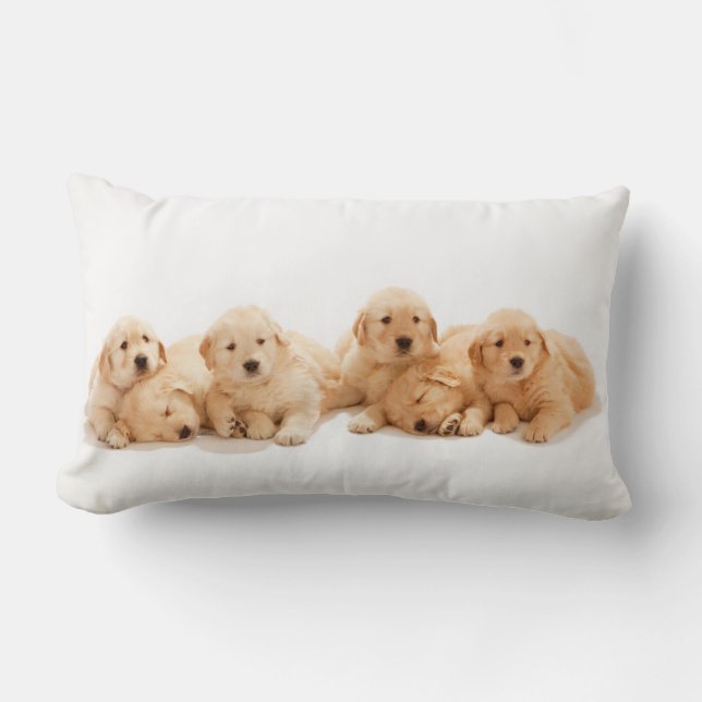 Zes Golden Retriever Puppies Kussen (Voorkant)