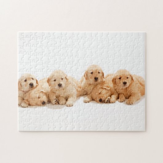 Zes Golden Retriever Puppies Legpuzzel (Horizontaal)