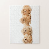 Zes Golden Retriever Puppies Legpuzzel (Verticaal)