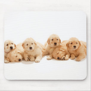 Zes Golden Retriever Puppies Muismat