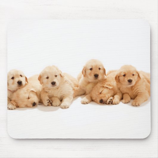 Zes Golden Retriever Puppies Muismat (Voorkant)