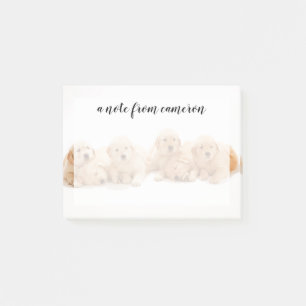 Zes Golden Retriever Puppies Post-it® Notes