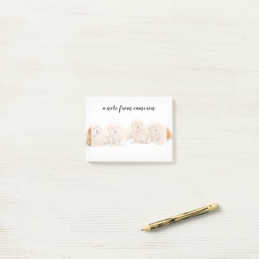 Zes Golden Retriever Puppies Post-it® Notes (Op bureau)
