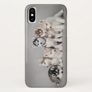 Zes Huskie puppies Case-Mate iPhone Case