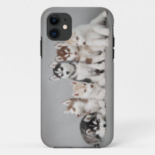 Zes huskies iPhone 11 hoesje