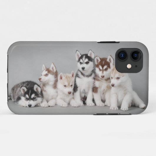 Zes huskies Case-Mate iPhone case (Achterkant (horizontaal))