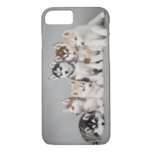 Zes huskies 	iPhone 8/7 hoesje