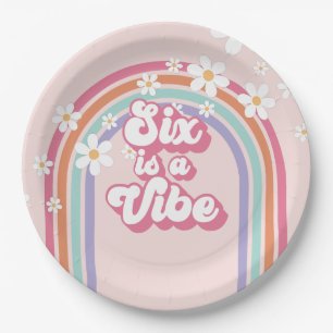 Zes is een Vibe Rainbow Pink 6th Verjaardag Papieren Bordje