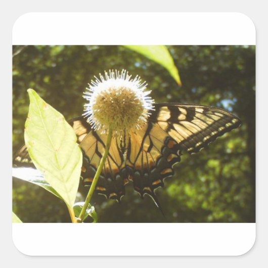 Zes Junimaand Vierkant Sticker (Voorkant)