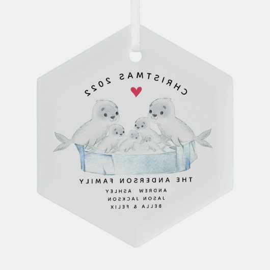 Zes kerstnaadfamilies glas ornament (Achterkant)