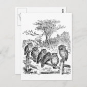 Zes kleine eigenaars zitten op een gebroken omhein briefkaart (Voorkant / Achterkant)