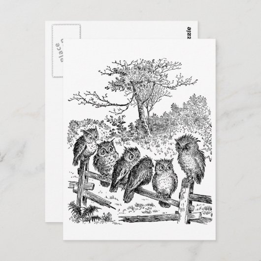 Zes kleine eigenaars zitten op een gebroken omhein briefkaart (Voorkant / Achterkant)