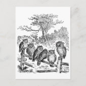 Zes kleine eigenaars zitten op een gebroken omhein briefkaart (Voorkant)