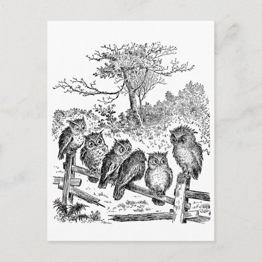 Zes kleine eigenaars zitten op een gebroken omhein briefkaart (Voorkant)