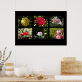 Zes kleine rozen afbeeldingen poster (Keuken)