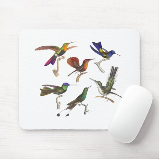 Zes kleurige Hummingvogels Muismat (Met muis)