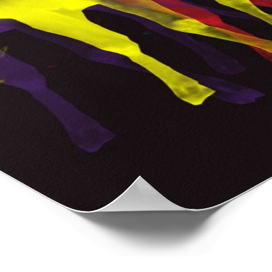 zes lama's in zes kleuren poster (Hoek)