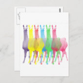 zes lama's in zes lamakleuren briefkaart (Voorkant / Achterkant)