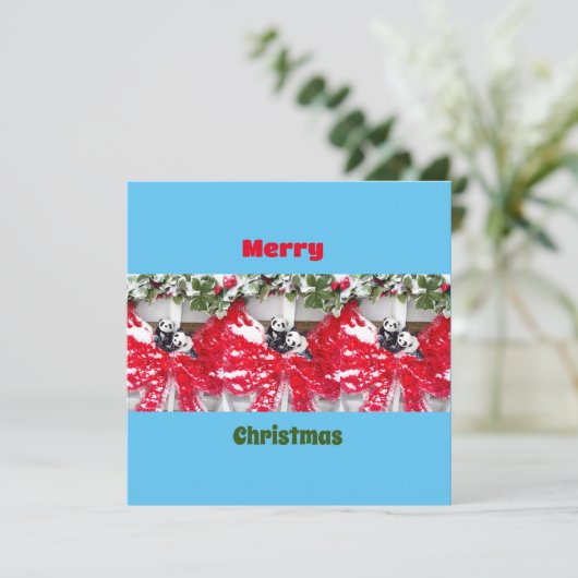 Zes lieve panda's met Kerstmis (Staand voorkant)