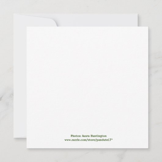 Zes lieve panda's met Kerstmis (Achterkant)