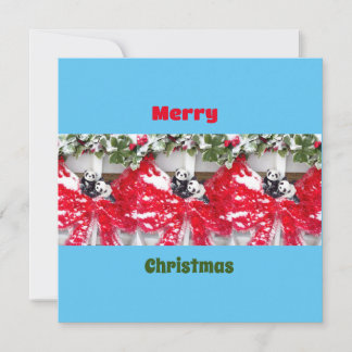 Zes lieve panda's met Kerstmis