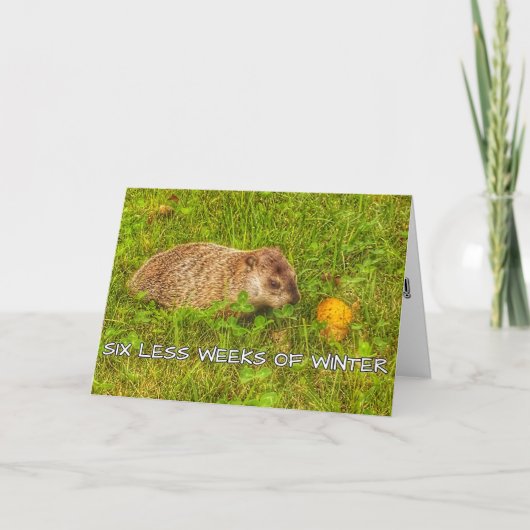 Zes minder weken wenskaart kaart (Voorkant)