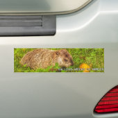 Zes minder weken winterbumpersticker bumpersticker (Op auto)