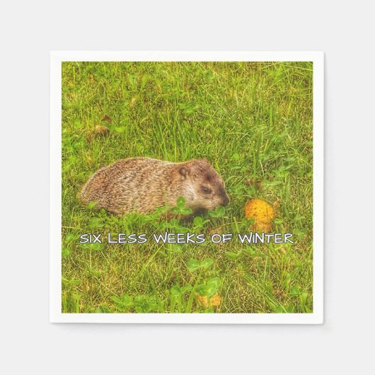 Zes minder weken winterluiers servetten (Voorkant)