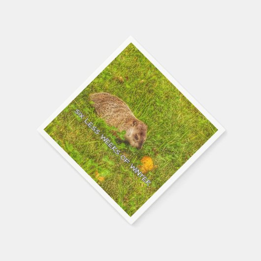 Zes minder weken winterluiers servetten (Hoek)