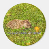 Zes minder weken wintermagneet magneet (Voorkant)