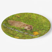 Zes minder weken winterse borden papieren bordje (Gekanteld)