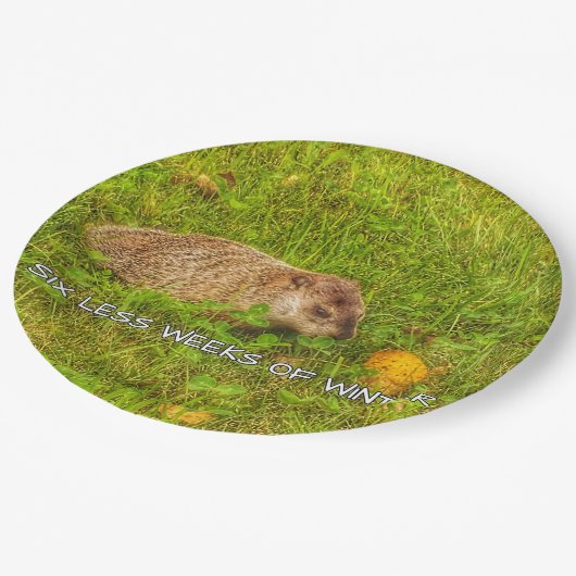 Zes minder weken winterse borden papieren bordje (Gekanteld)