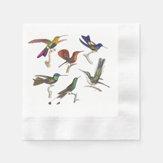 Zes mooie kolibries servet (Voorkant)