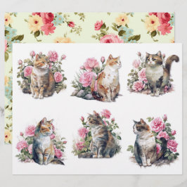 Zes Mooie Waterverfkatten in een Bed van Roze Roze