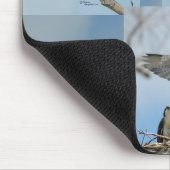 Zes Osprey-vogelfoto's Mousepad Muismat (Hoek)