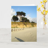 Zes Posten en een Schaduw Kaart (Gele Bloem)