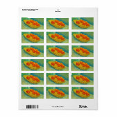 Zes Sinaasappels van Vincent van Gogh Etiket (Full Sheet)