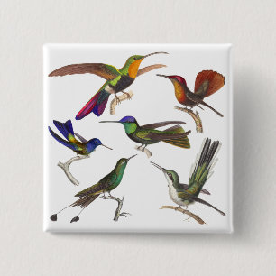 Zes verschillende Hummingvogels - Rene Primevere L Vierkante Button 5,1 Cm