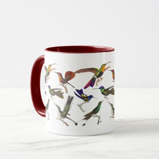 Zes verschillende Hummingvogels Rene Primevere Les Mok (Voorkant links)