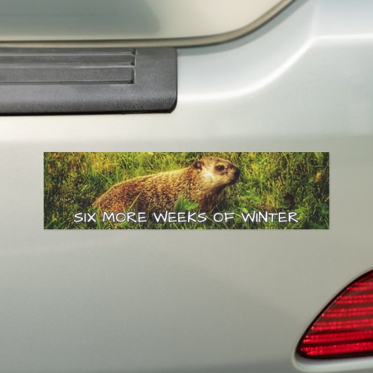 Zes weken extra winterbumper bumpersticker (Op auto)