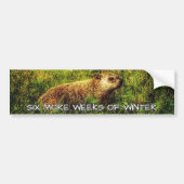 Zes weken extra winterbumper bumpersticker (Voorkant)