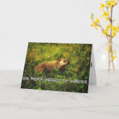 Zes weken later wenskaart kaart (Gele Bloem)