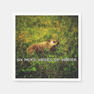 Zes weken meer winterluiers servet