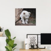 Zes weken oude witte baby leeuwenkub poster (Thuiskantoor)