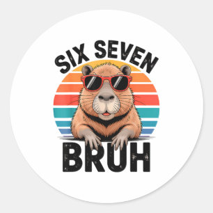 Zes Zeven Bruh 6 7 Meme Grappige Capybara 6 7 Ronde Sticker