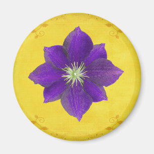 Zesde Chakra Gift - Derde oog Magneet