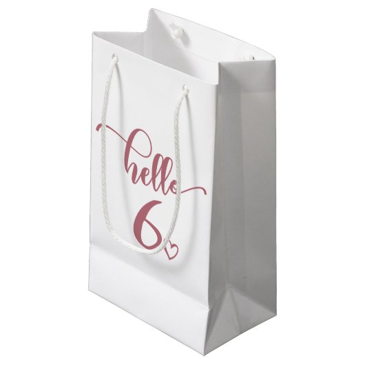 Zesde verjaardag meisjes Hallo zes kinderen zes ja Klein Cadeauzakje (Voorkant Gekanteld)